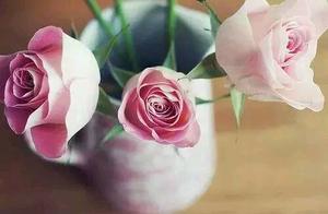 The greatest regret in life is to abandon what should have been abandoned, stubbornly persisting in what should not have been persisted.