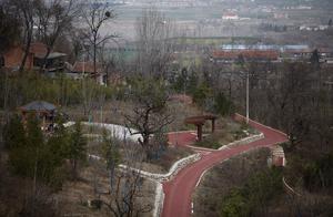 Spring at Mituo Temple