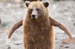 The scariest thing is when designers are idle and let animals mutate! PS check out what you've done.