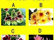 Which Bouquet Did You Fall in Love with First? Reveals Who in Your Family Will Be the Luckiest.