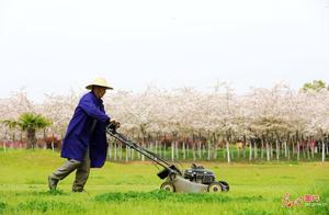 Hefei, Anhui: Beautifying Rural Areas to Welcome Tourists