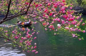 Spring is Beautiful; Poetry Resides in the Distance – A Clear Verse’s Hue