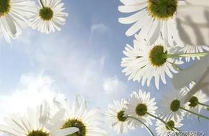 If you can't run, walk; if you can't walk, crawl. Ultimately, you must keep moving forward.