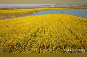 Don't you want to take a look at this Golden Sea in Huaibei?