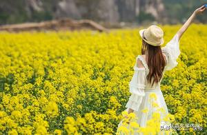 Spring’s FootstepsGroup Poem by Dong Jianhua