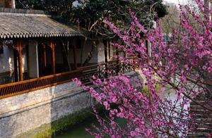 Jiangnan Water Town Guide: Don't Stay in Wuzhen, Go to Xitang at Night, You Must Try Meat Zongzi (Rice Zongzi)