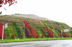 Guimi Mountain: A Natural Palette Transformed