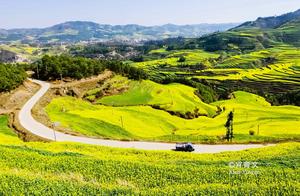 800,000 Mu of Oilseed Rape Flowers Extend Limitlessly, Forming China’s Largest Flower Sea – Lop County Visitors Don’t Look at the Flowers