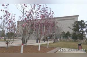 First Son: The Spring of Dancheng Blossoms - It's the Right Time to Wander the Gardens