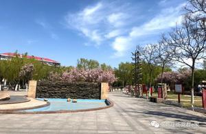 Spring Blooms, Don't Waste the Springtime; It's the Right Time to Enjoy Flowers and Qingting (Flower Viewing/Hiking)