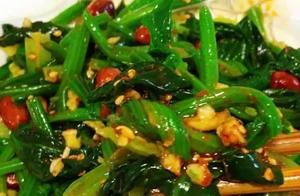 Delicious and Refreshing Dishes, Simple and Tasty, Perfect for Every Meal