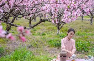 Spring Moganshan: How to Operate? Don't Waste This Touch of Spring – Let's Have a Spring Tea Party