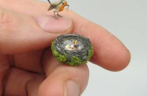 Tiny Bird Like a Mosquito?