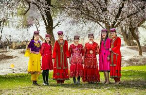 Spring in Pamir, Karakoram Mountains, Encountering the World's Most Beautiful Peach Blossom Village