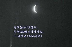 Stunning Short Phrases Unrelated to the Wind and Waves | Breaking the Old White Sail, Half the Wind Was Leaked