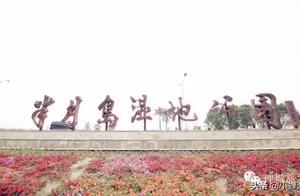 Springtime in Foshan: Banjiada Wetland Park and Half-Moon Island Exploration, Experience the Passion of the Poppy Flower Sea!
