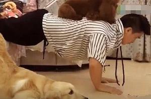 Man Does Push-Ups and Finds His Golden Retriever Lying Down, Bursting into Laughter