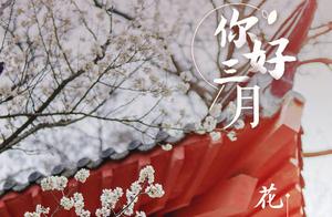 Hello, March; Hello, China in Spring