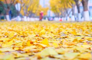 Elegant Writing: Only Wishing for Tranquil Times and a Peaceful Life
