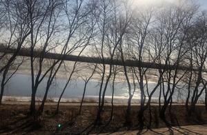 Enjoyable Riverside Scenery! Half Spring, Half Snow in Half the City