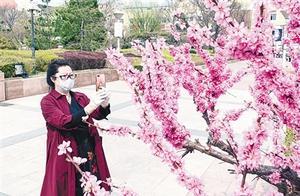 Enjoying Spring Flowers and Leisure