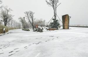 Frozen Fresh Flowers – Do Not Ship, Please Visit Anji to See Spring Snow