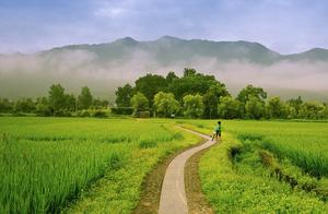 Li Jin: Longing for Childhood Innocence