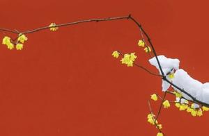Original Free Verse Poetry: Life