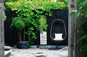 Seeking a Quiet Courtyard, Asking Time for the Serenity of Jade-Green Years