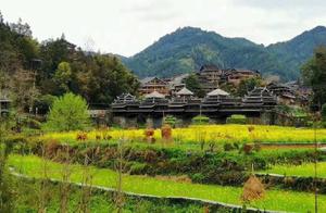Three Rivers: Chengyang Blossoms Bring Abundant Spring
