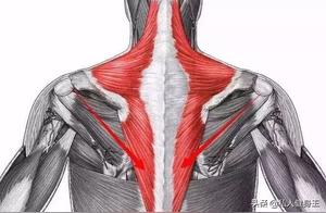 How to Do Push-Ups Effectively: Learn to Use This One Muscle to Boost Your Results 5x
