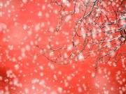 Snow: An Eternal Mystery
