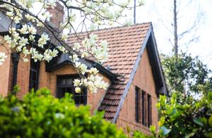 Cloud Viewing Flowers ① | Missing the Bright Campus? A Set of Photos Takes You on a 'Cloud Stroll' Through Shanghai Universities' Spring Scenery