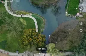Hangzhou Taizibai Full-Scene Video: Let You 'Shake' with Tulips Without Leaving Home