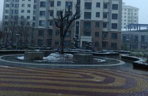 Last Night's Rain and Snow