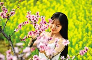 Nanyang: Peach and Pear Blossoms in Full Bloom
