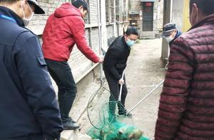 Urban Management & Environmental Remediation: Dogs May Be Cute, But Unregulated Pet Ownership is Not Desirable