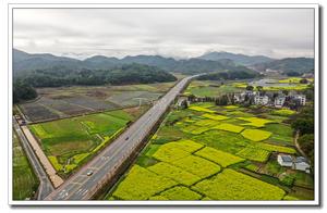 Jiangxi Lead Mountain: Viewing Flowers in the Mist; Oilseed Radish Flowers More Charming After the Rain