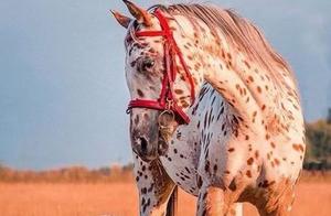 20 Most Adorable Photos in the World – Watching Them Makes You Happy