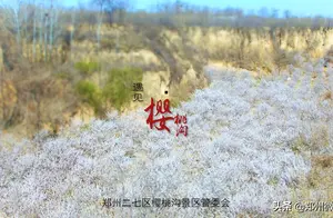 This Small Ravine is Like a Painted Scroll