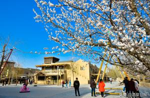Dunhuang, Gansu: The Fragrance of Apricot Blossoms Ten Miles Across