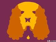Psychological Test: What Do You See First? How Important Are You in Your Partner's Heart?