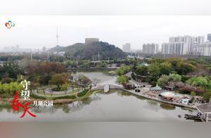 Enjoying the Spring Scenery:⑩ The Moon Reflects on Lake Yue, Jade Willows, and Entering Lake Yue Park