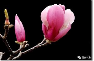 Expected Weak Precipitation Weather Process in Xi'an City Tonight