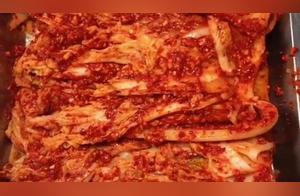 Spicy White Cabbage - Delicious Recipe You Can Learn in One Minute