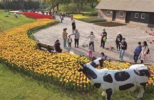 Spring Blooms, Citizens Admiring Flowers