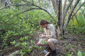 Bermuda Land Snail Extinction Reversed: Scientists Revive Species Using Close Relatives