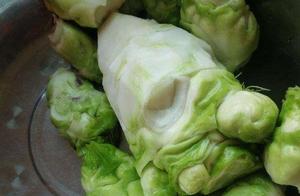 This Bao'er Cai (Southern Vegetable) is Common in the South, Good for Calcium Deficiency, Doesn't Cause Bad Breath, Stronger than Milk