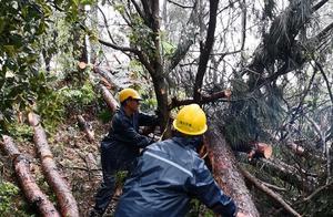 Attention! Hunan Provincial Botanical Garden Temporarily Closed Today