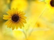 Don't Compromise After 50: No Matter the Wealth, You Must Nurture Yourself
